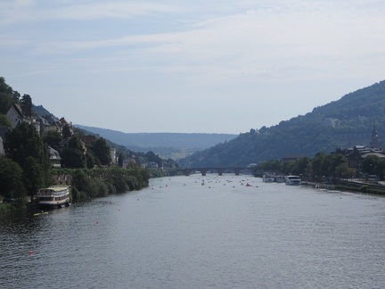 View of the Neckar River Race Course